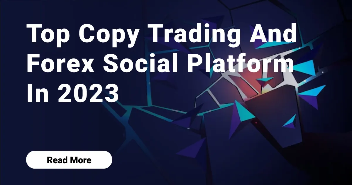 Top Copy Trading And  Forex Social Platform In 2023